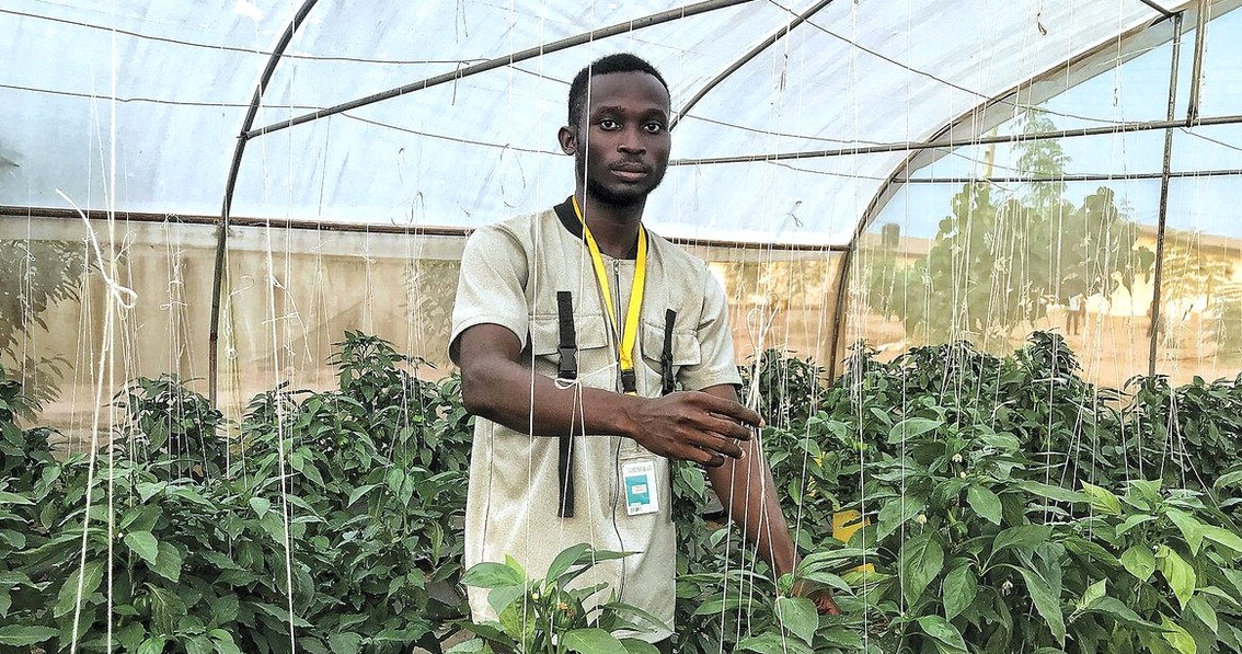 How to Start an Agribusiness in Nigeria