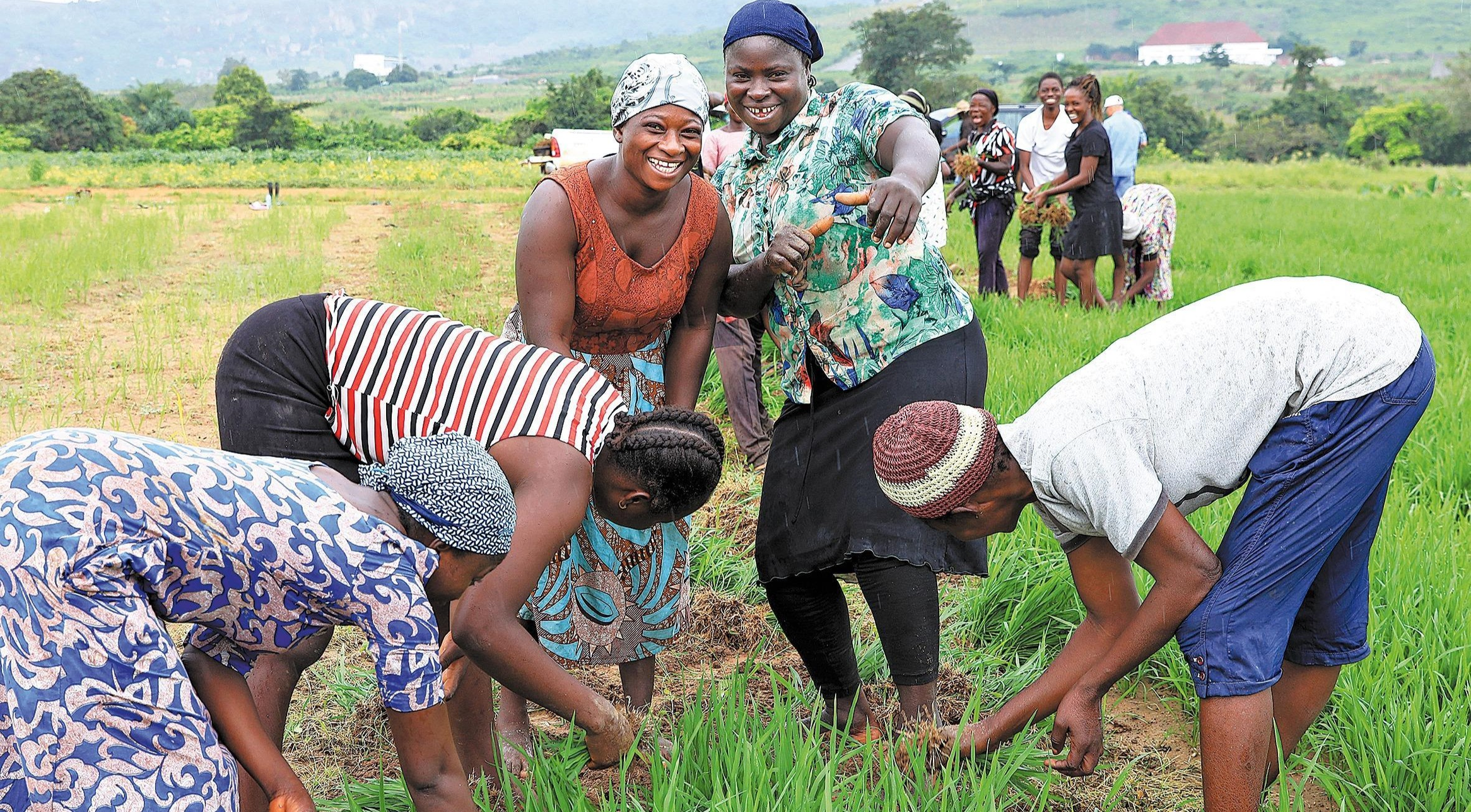 CBN Agricultural Loans and How to Apply in Nigeria